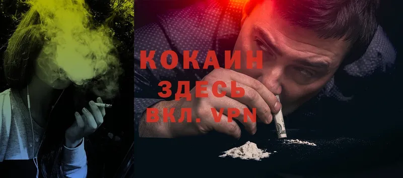 наркотики  Гурьевск  гидра ссылки  COCAIN Эквадор 